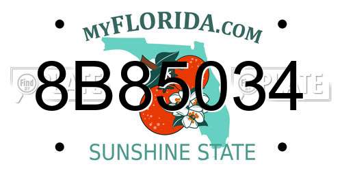 8B85034 Florida License Plate