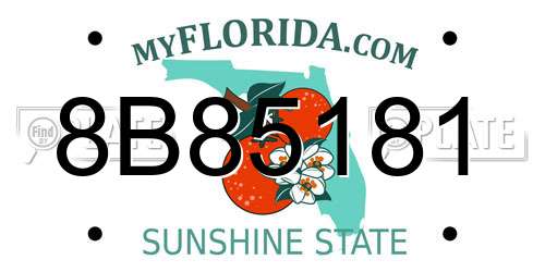 8B85181 Florida License Plate