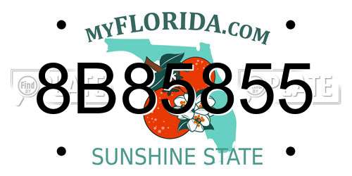 8B85855 Florida License Plate