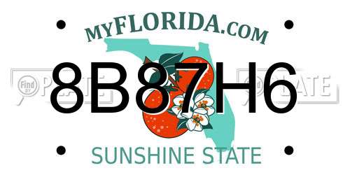 8B87H6 Florida License Plate