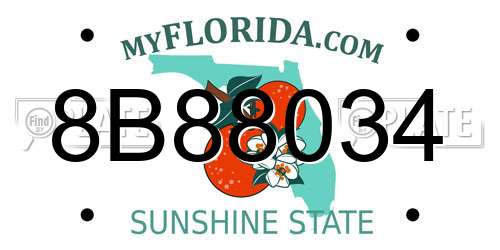 8B88034 Florida License Plate