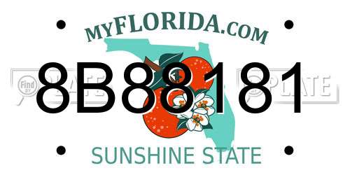 8B88181 Florida License Plate