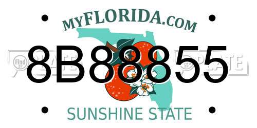 8B88855 Florida License Plate