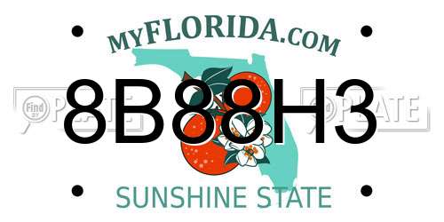 8B88H3 Florida License Plate