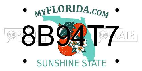 8B94T7 Florida License Plate