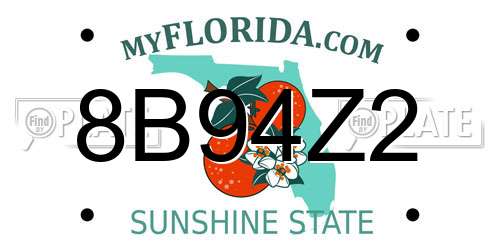 8B94Z2 Florida License Plate