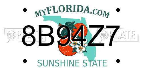 8B94Z7 Florida License Plate