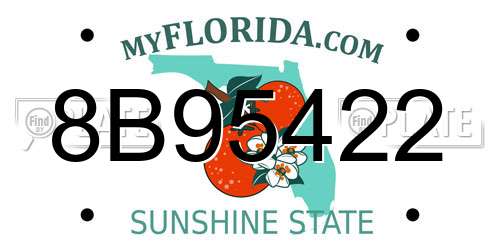 8B95422 Florida License Plate