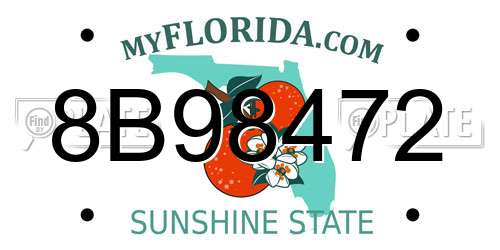 8B98472 Florida License Plate