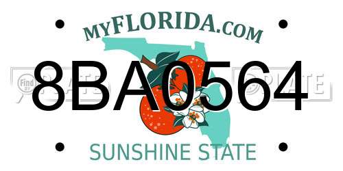 8BA0564 Florida License Plate