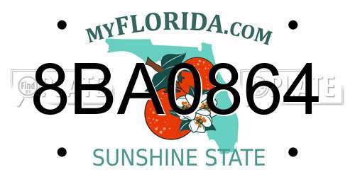 8BA0864 Florida License Plate
