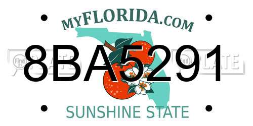 8BA5291 Florida License Plate