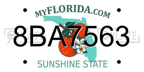 8BA7563 Florida License Plate