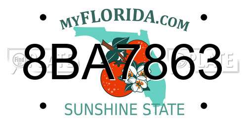 8BA7863 Florida License Plate