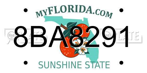 8BA8291 Florida License Plate