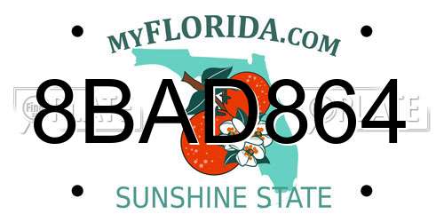 8BAD864 Florida License Plate