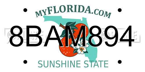 8BAM894 Florida License Plate