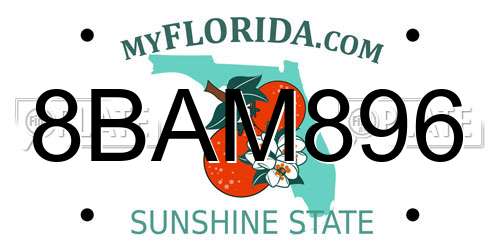 8BAM896 Florida License Plate