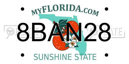 8BAN28 Florida License Plate