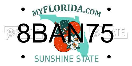 8BAN75 Florida License Plate