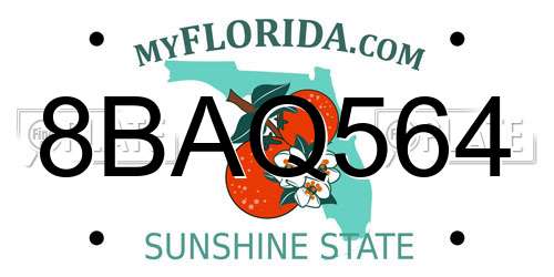 8BAQ564 Florida License Plate