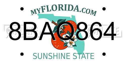 8BAQ864 Florida License Plate
