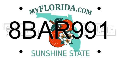 8BAR991 Florida License Plate