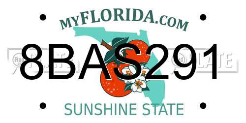 8BAS291 Florida License Plate