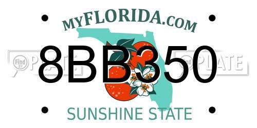 8BB350 Florida License Plate