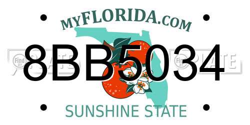 8BB5034 Florida License Plate