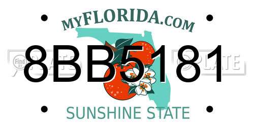 8BB5181 Florida License Plate
