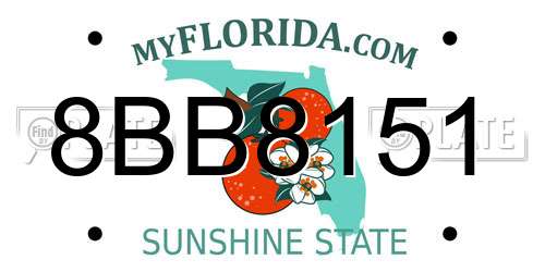 8BB8151 Florida License Plate