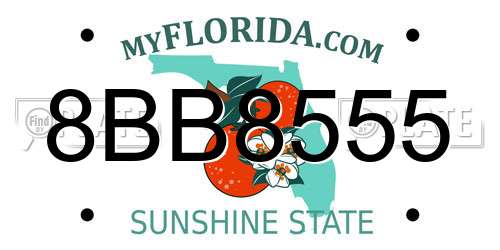 8BB8555 Florida License Plate