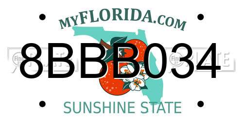8BBB034 Florida License Plate