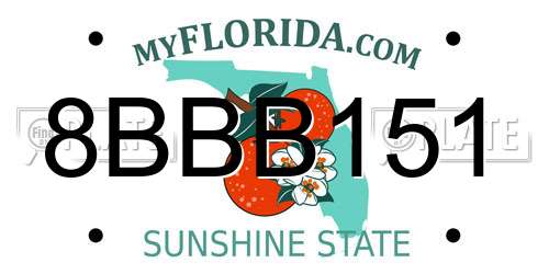 8BBB151 Florida License Plate