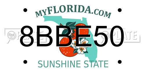 8BBE50 Florida License Plate