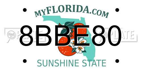 8BBE80 Florida License Plate