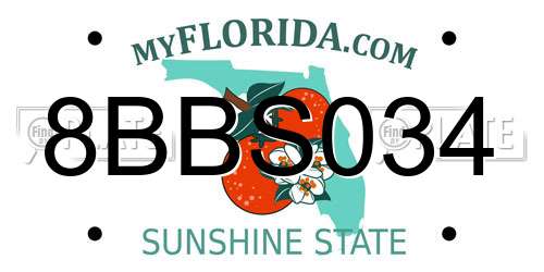8BBS034 Florida License Plate