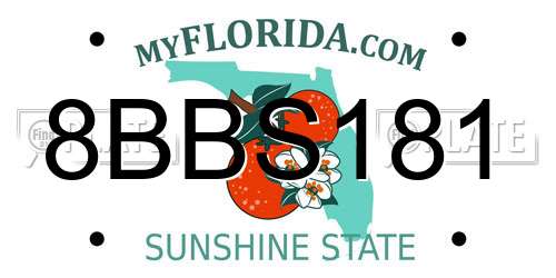 8BBS181 Florida License Plate