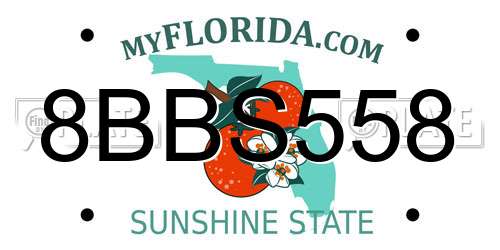 8BBS558 Florida License Plate
