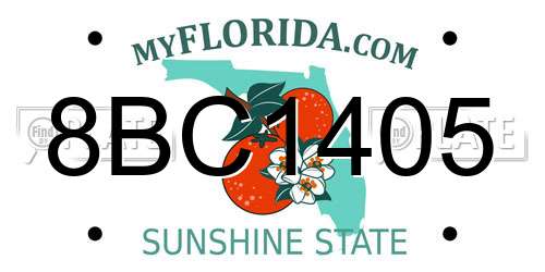 8BC1405 Florida License Plate