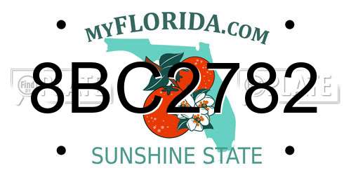8BC2782 Florida License Plate