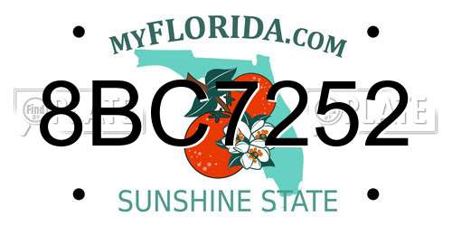 8BC7252 Florida License Plate