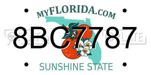 8BC7787 Florida License Plate