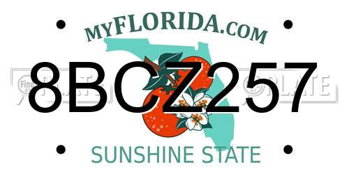 8BCZ257 Florida License Plate