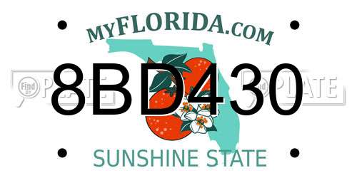 8BD430 Florida License Plate