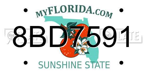 8BD7591 Florida License Plate