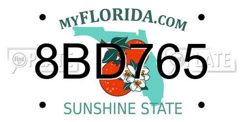 8BD765 Florida License Plate