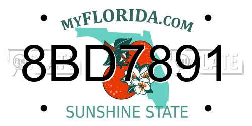 8BD7891 Florida License Plate
