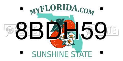 8BDH59 Florida License Plate